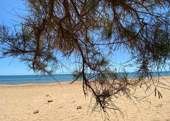 200M From The Sea - Large Private Patio With Bbq